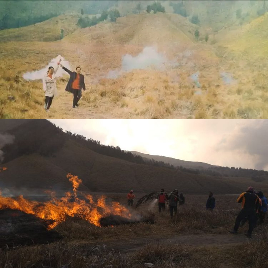 Kebakaran Lahan Gunung Bromo, Ini Peran Manajer WO "Prewedding"
