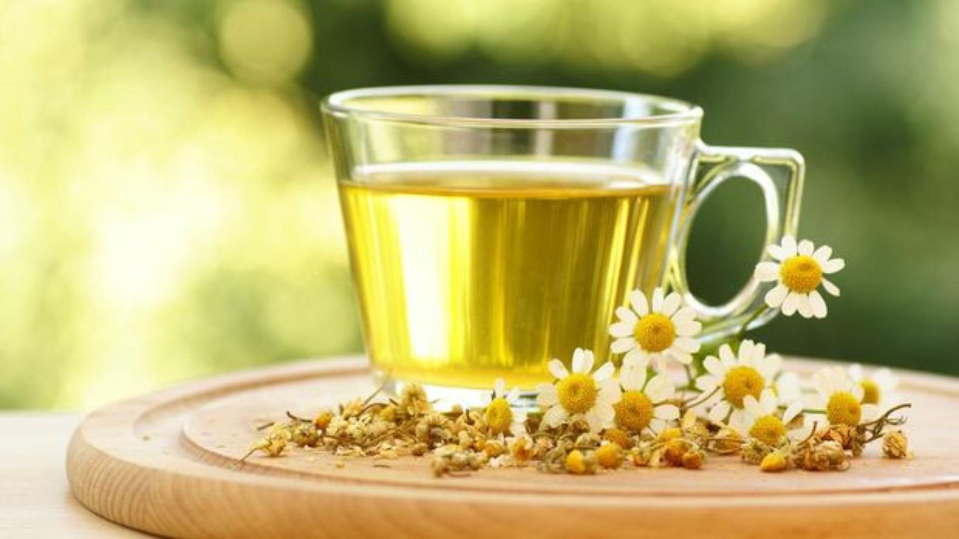 Manfaat Tanaman Spearmint Tea