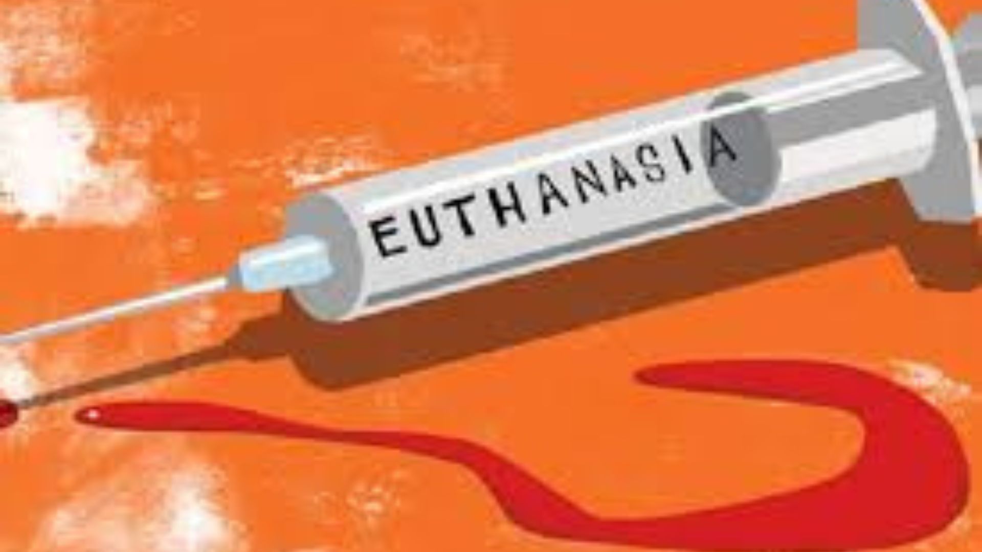 Wanita Belanda Yang Memutuskan Untuk Melakukan Euthanasia