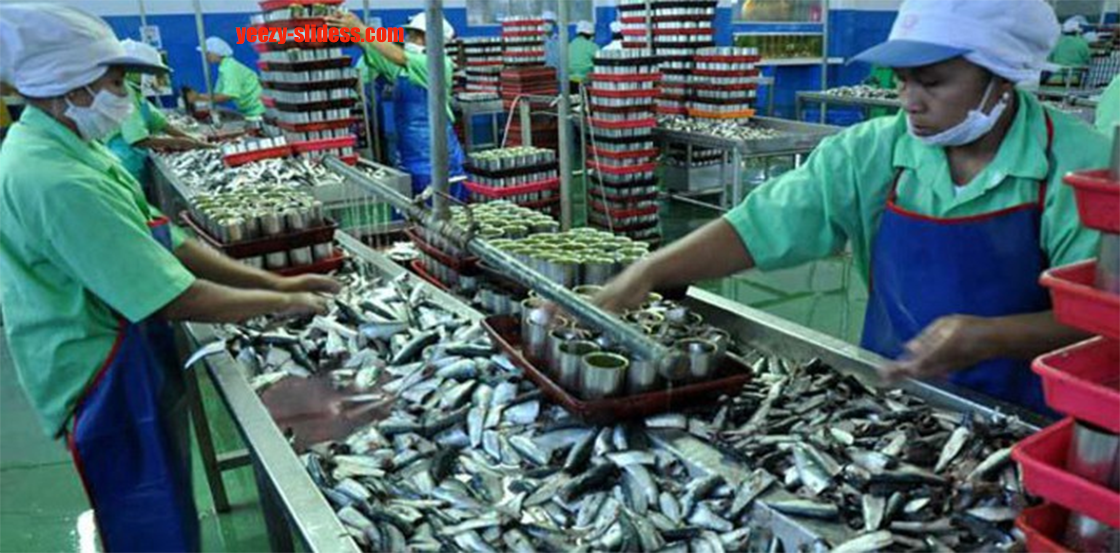 Pengalengan Ikan Industri Perikanan